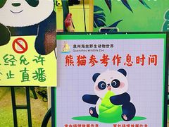 -泉州海丝野生动物世界