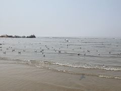 -老虎石海上公园