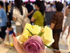 -鹏欣水游城