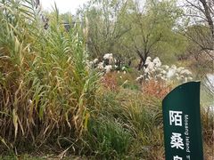 -苏州吴中太湖旅游区