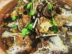 -城一锅涮烤羊蝎子·烤串