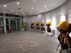 -上海月星家居(澳门路店)