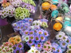 -宝鸡东道花鸟鱼虫市场(吉利花园商场店)