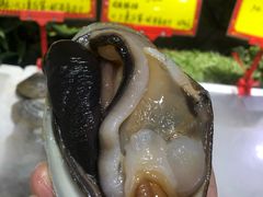 -蚝专家(北滘店)