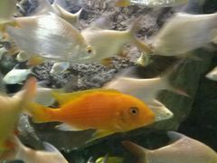 -多彩贵州城极地海洋世界