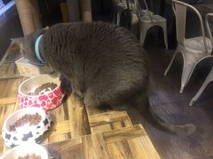 -小时光咖啡馆(开森度假森林店)