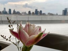-璞渼咖啡 ROOF P.M. Café(浦东美术馆店)