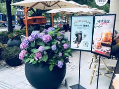 -Peet's Coffee皮爷咖啡(大学路店)