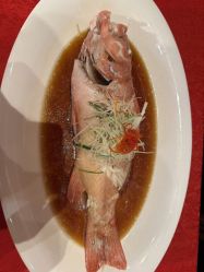 -无锡君来洲际酒店·宴会厅