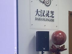 -上海大汉灵芝保健品有限公司