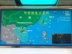 -广东惠东海龟国家级自然保护区