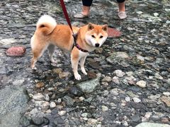 -九峰山