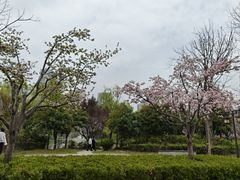 -木塔寺遗址生态公园