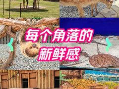 -郑州银基国际旅游度假区
