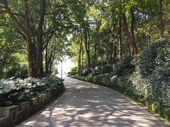 -上海市保健医疗中心