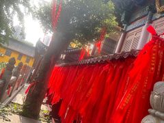 -宝通禅寺