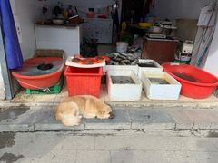 -葑门横街