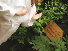 -常州环球恐龙城维景国际大酒店