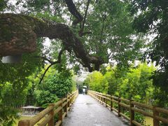 -苏家围·东江画廊旅游景区