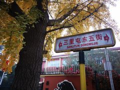 -三里屯东五街银杏大道