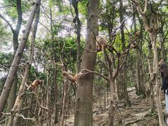 -黔灵山公园