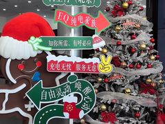 -奔驰利星行(北京花乡店)