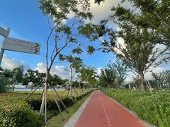 -上海山野camping·户外天幕烧烤·团建拓展营地