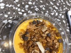 -油梨树AVOCADO TREE(嘉里中心店)