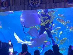 -左海海底世界