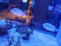 -上和臻品中国菜(花园街店)