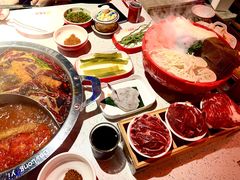 -大龙燚·旷野鲜火锅(广州首店)