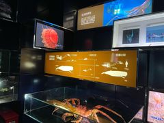 -同济大学四平路校区深海探索馆