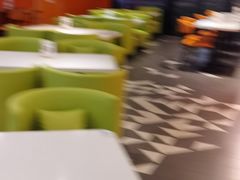 -油梨树 AVOCADO TREE(亮马桥店)