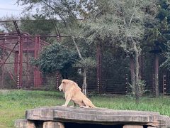 -沈阳森林动物园