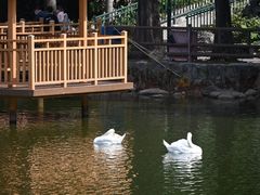 -深圳野生动物园