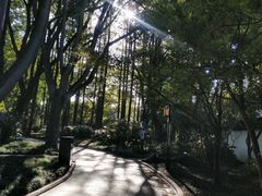 -上海醉白池公园