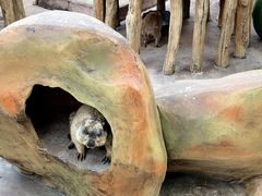 -长鹿旅游休博园