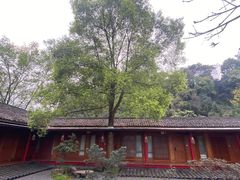 -乐领拈花溪·林涧食韵