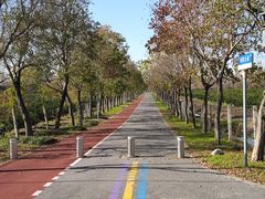 -上海长兴岛郊野公园