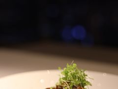 -大中华希尔顿酒店·兰亭潮中餐厅·粤菜