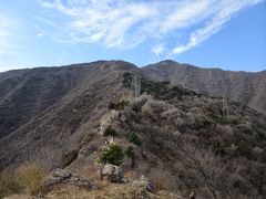 -大觉寺-停车场