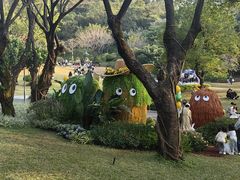 -云溪植物园