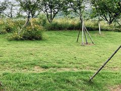 -宜兴龙背山森林公园