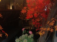 -蓉城老妈火锅(双林路店)