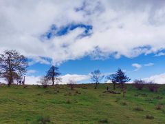 -硗碛藏寨·神木垒景区