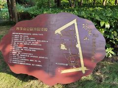 -陈家山荷花公园