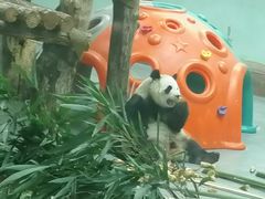 -青藏高原野生动物园