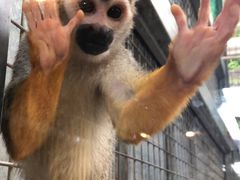 -武清南湖绿博园