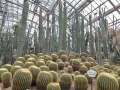 -南山植物园