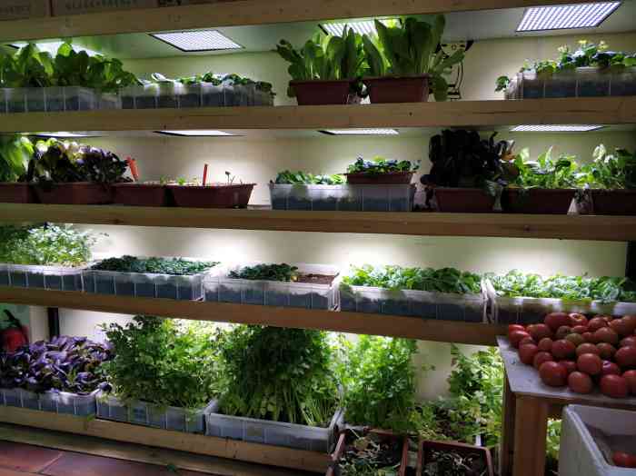 是绿色食品,虽说价格贵点,但是菜香味浓郁